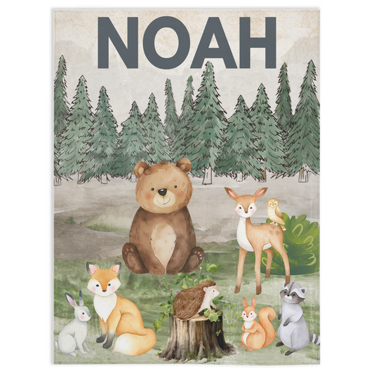 Woodland Animal Minky Blanket